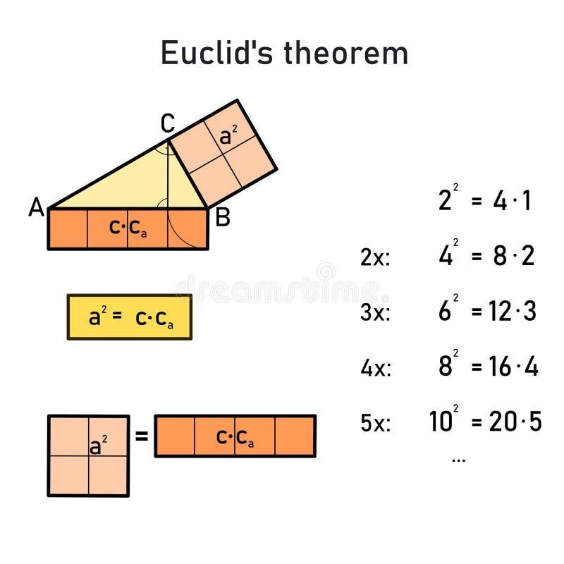 Numerical and graphical representation of Euclid\'s theorem on the side of a right triangle vector illustration