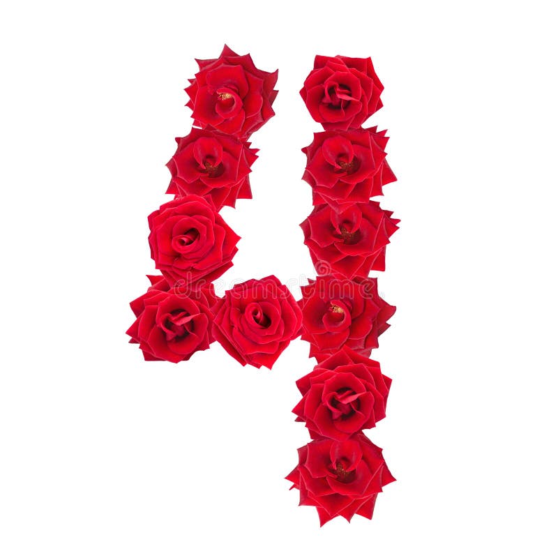 Numeral 4 made of red roses on a white isolated background. Red roses. Element for decoration. Numeral 4 made of red roses on a white isolated background. Red roses. Element for decoration