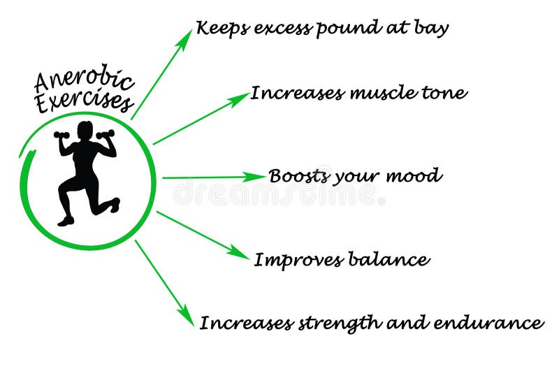 Anaerobic Exercise Stock Illustration Illustration Of Excess 97283340