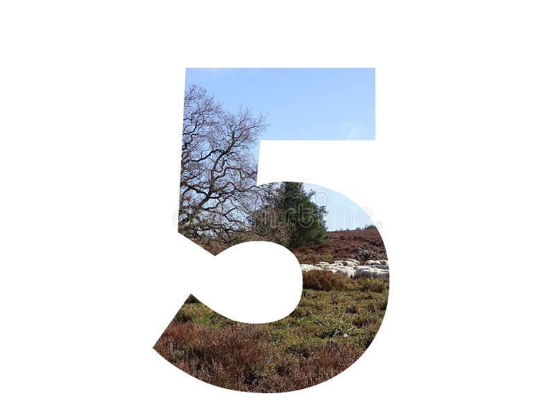 Number 5 of the alphabet made with a herd of sheep in the heather and a blue sky, with colors brown, white, beige, blue and green, isolated on a white background. Number 5 of the alphabet made with a herd of sheep in the heather and a blue sky, with colors brown, white, beige, blue and green, isolated on a white background