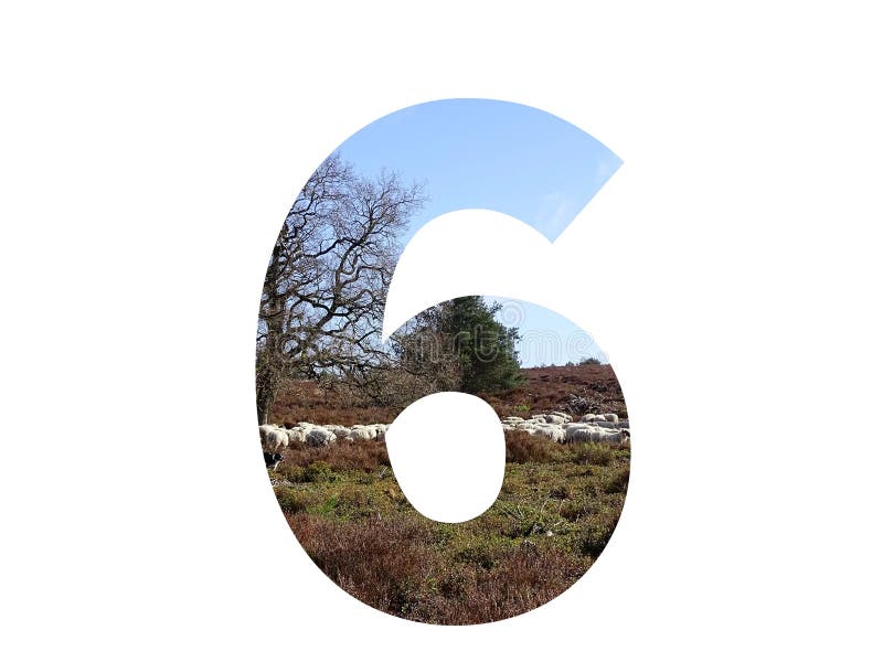 Number 6 of the alphabet made with a herd of sheep in the heather and a blue sky, with colors brown, white, beige, blue and green, isolated on a white background. Number 6 of the alphabet made with a herd of sheep in the heather and a blue sky, with colors brown, white, beige, blue and green, isolated on a white background