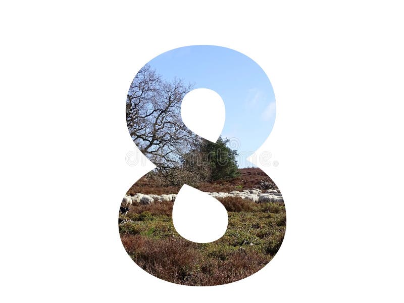 Number 8 of the alphabet made with a herd of sheep in the heather and a blue sky, with colors brown, white, beige, blue and green, isolated on a white background. Number 8 of the alphabet made with a herd of sheep in the heather and a blue sky, with colors brown, white, beige, blue and green, isolated on a white background