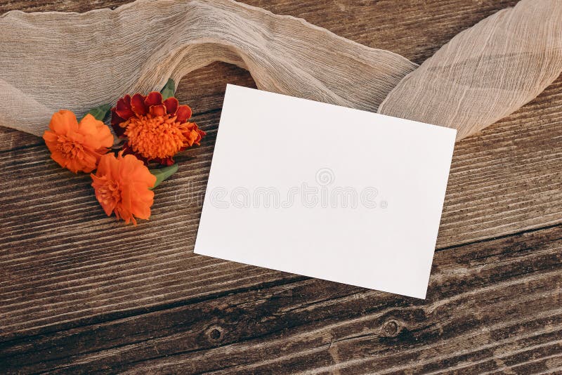 Nunta din toamnă e scena vieții. machetă card de întâmpinare gol. compoziție florală. flori portocalii de marcare din lemn vechi royalty free stock photography