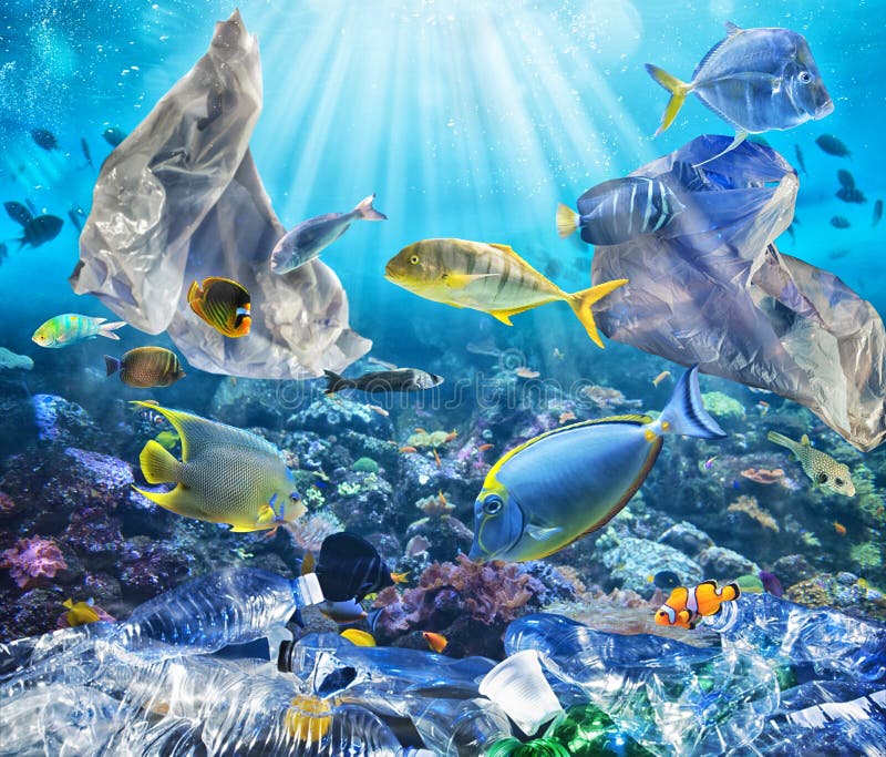 Nuotate dei pesci con le borse di galleggiamento Problema di inquinamento di plastica nell'ambito del concetto del mare