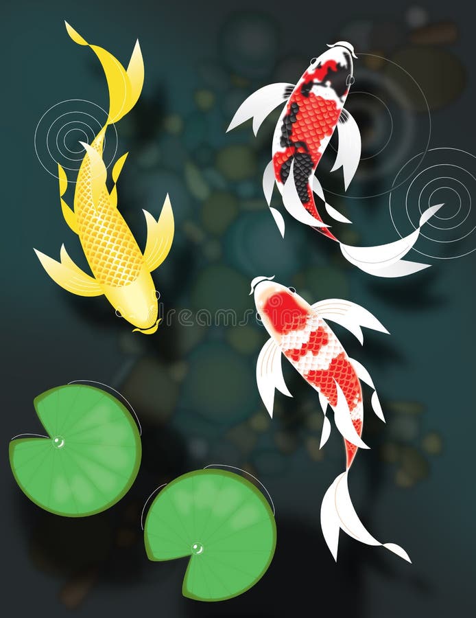 Nuoto di koi della farfalla nello stagno illustrazione di stock