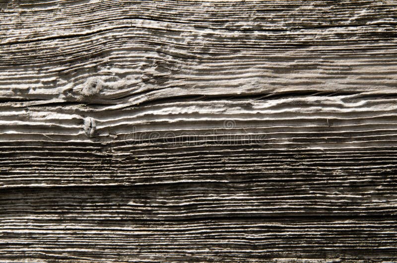Nuovi bordi costolati di legno con fotografia stock libera da diritti Nuovi bordi costolati di legno con fotografia stock libera da diritti