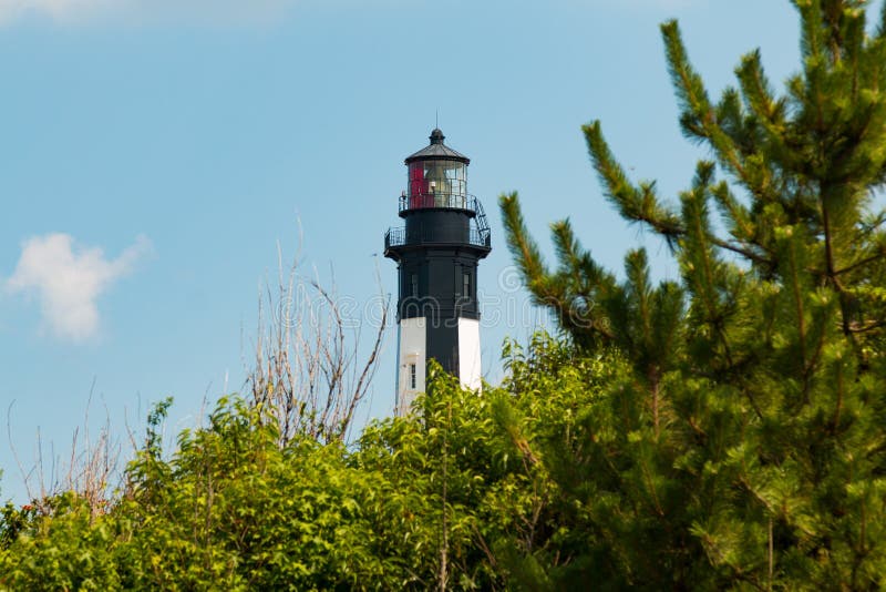 Nuovo capo Henry Lighthouse con gli alberi in Virginia Beach immagini stock Nuovo capo Henry Lighthouse con gli alberi in Virginia Beach immagini stock