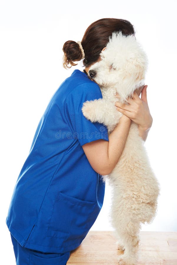 7,897 Nurse Dog Stock Photos Free & RoyaltyFree Stock Photos from