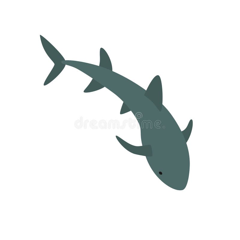 Free Free Nurse Shark Svg 353 SVG PNG EPS DXF File