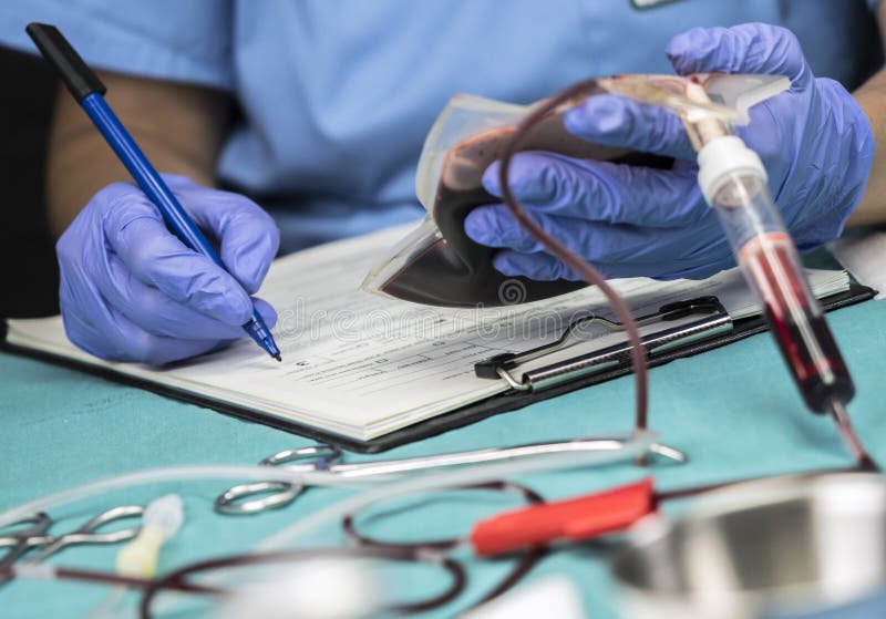 Nurse Takes Data from a Blood Bag in a Hospital Stock Photo Image of hematology, care 150331244