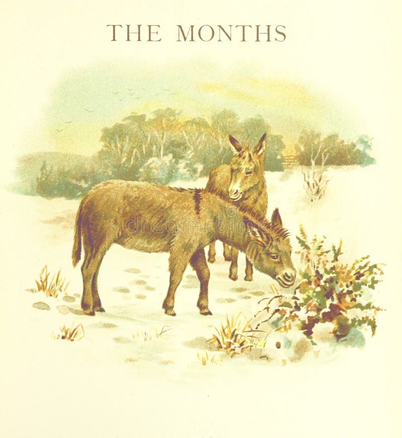 British Library Digitised Image From Page 33 Of "Nursery Songs [Edited