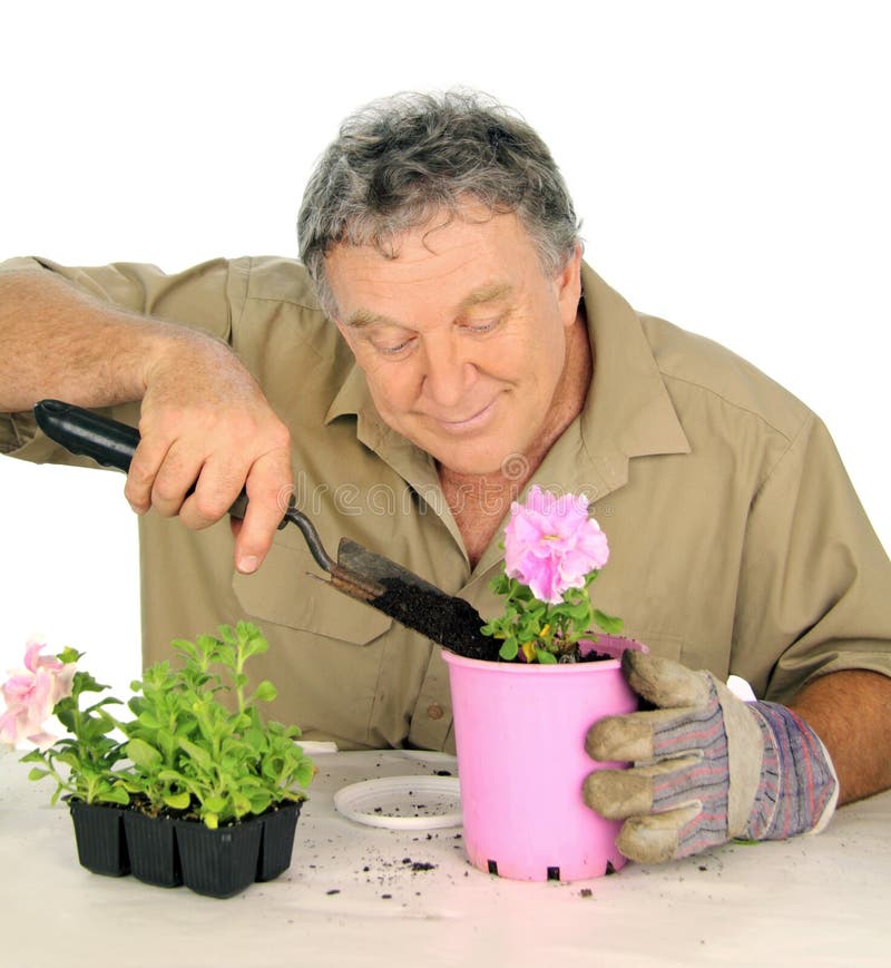 Nurseryman Plants Seedlings royalty free stock photos