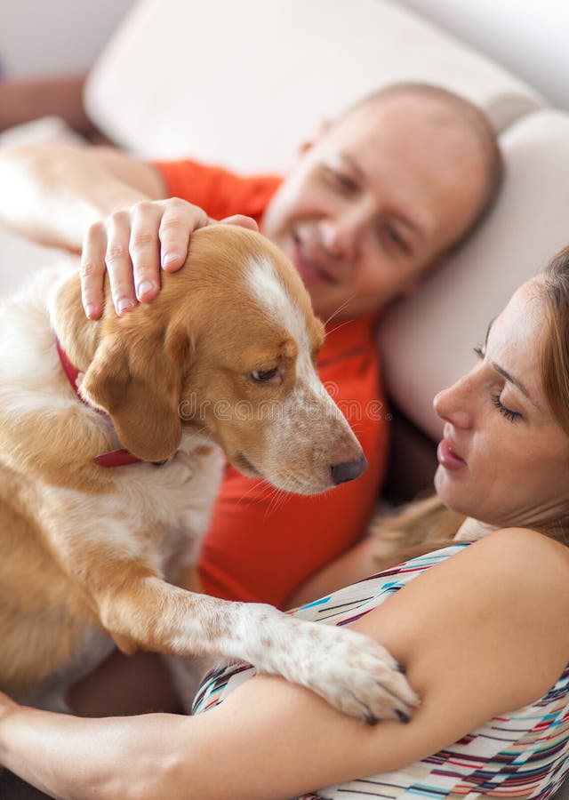 Nursing a dog stock photo. Image of lifestyle, couple 53040190