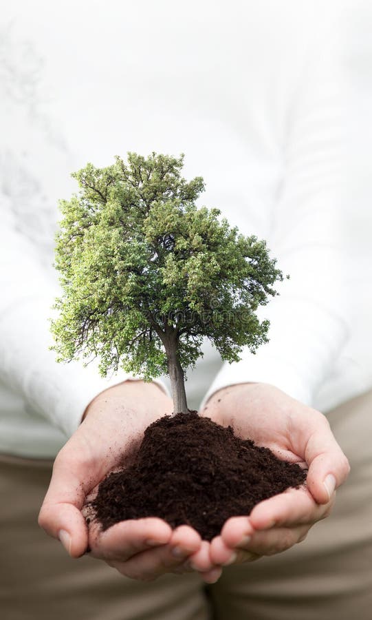 Nurturing Nature stock photography Nurturing Nature stock photography