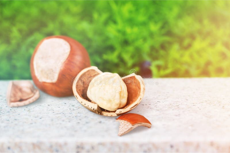 nut fotografia royalty free nut fotografia royalty free