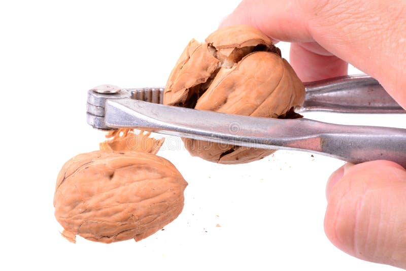 Cracking a walnut stock image. Image of metal, force, lock - 4022019