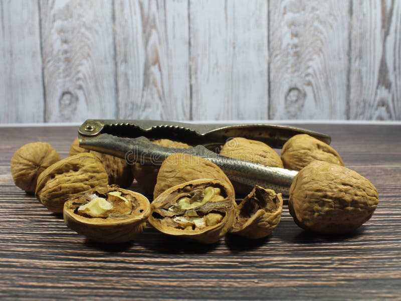Nut fruit dried fiber natural fiber walnut shell health good seed stock photos