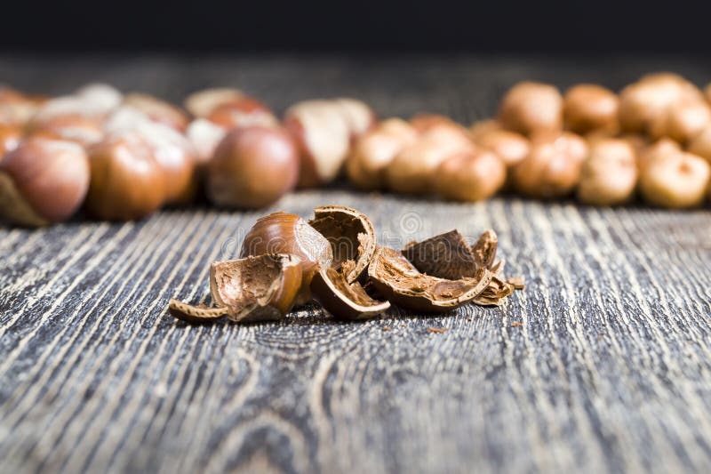Nut Shells after Getting Their Edible Part Stock Photo Image of Nut Shells after Getting Their Edible Part Stock Photo Image of