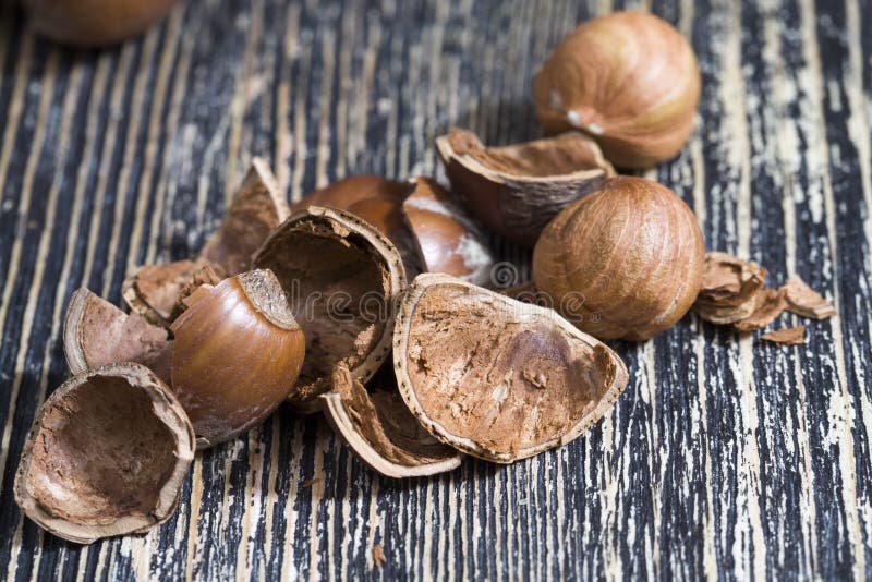 Nut Shells after Getting Their Edible Part Stock Photo Image of Nut Shells after Getting Their Edible Part Stock Photo Image of