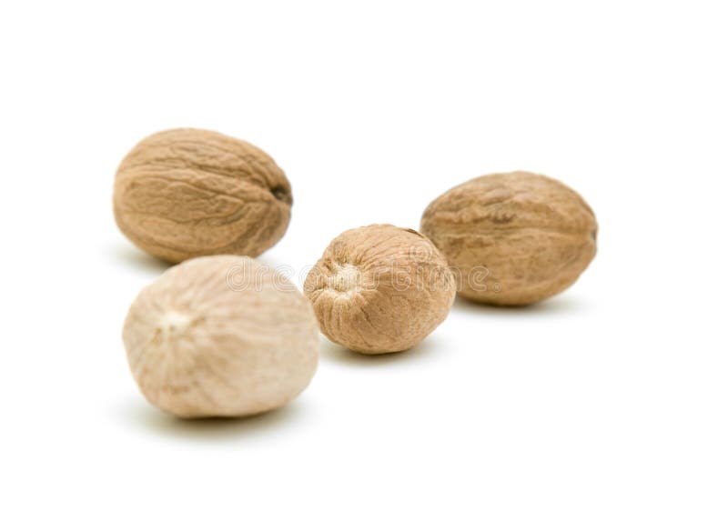 Nutmeg stock photo. Image of food, closeup, nutmeg, isolated 14793680