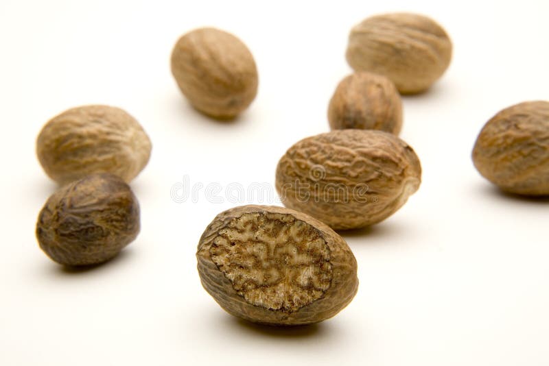 Nutmeg stock image. Image of cooking, food, seed, detail 1673713