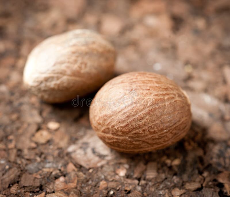 Nutmeg stock image. Image of flavoring, cooking, herbal 26174613