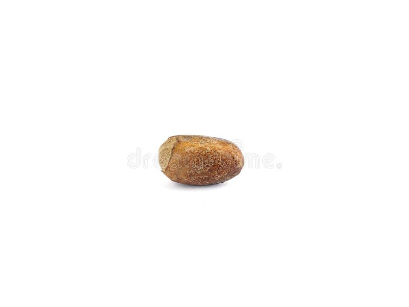 Nutmeg Spice Isolated on White Background Stock Image Image of heap