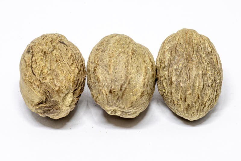 Nutmeg spice stock photo. Image of flavor, nature, aroma 119997244