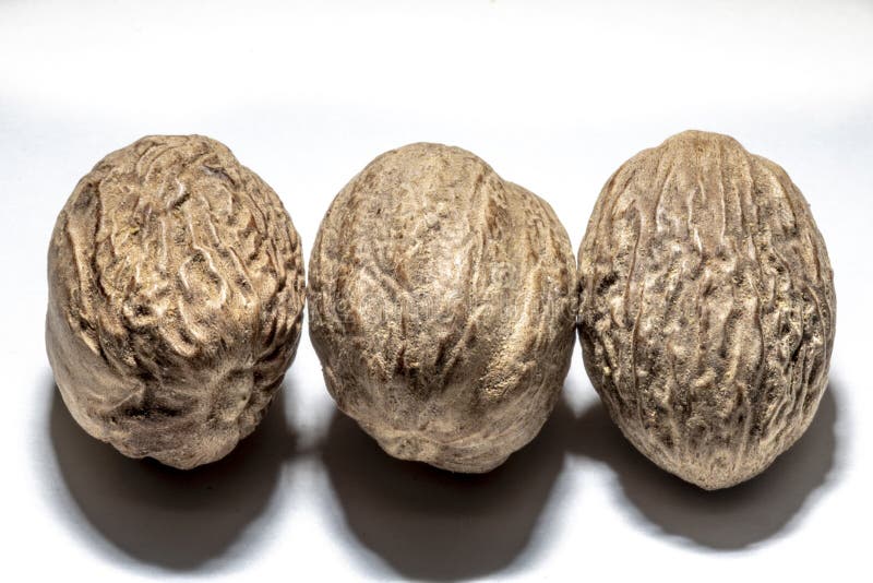 Nutmeg spice stock photo. Image of flavor, nature, aroma 119997244