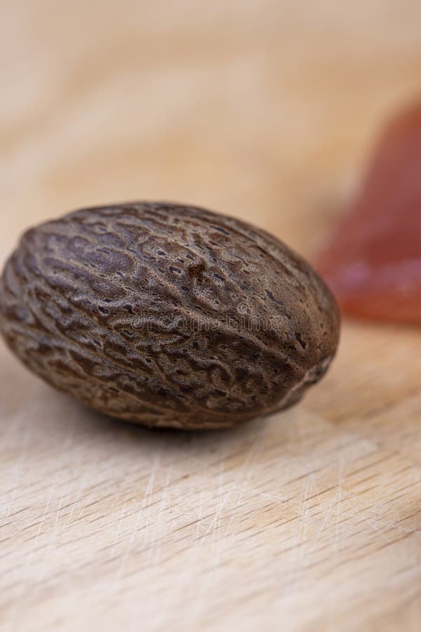 Fragrant Whole Nutmeg in the Kitchen Stock Image Image of kitchen