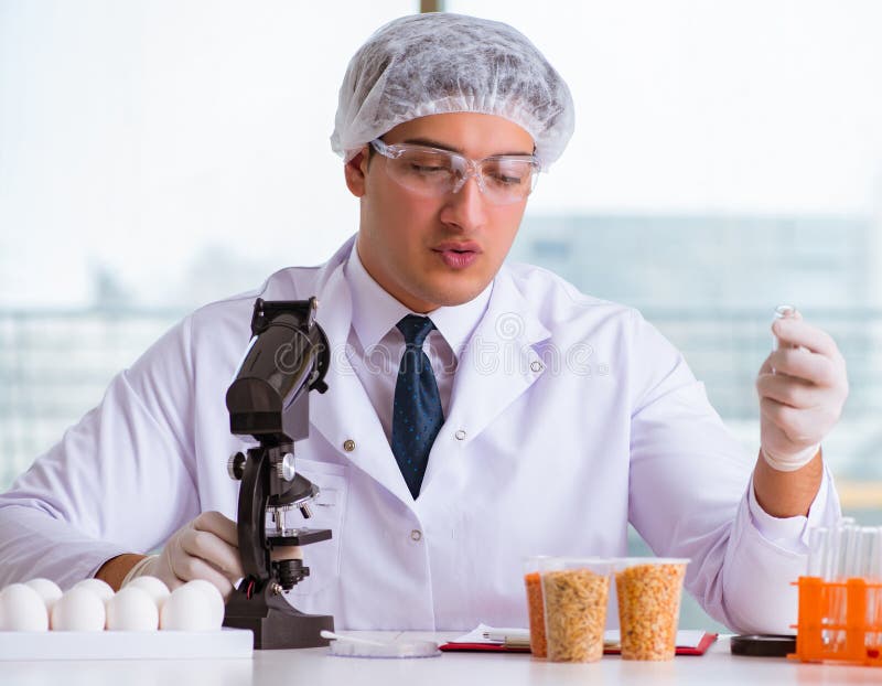 Nutrition Expert Testing Food Products in Lab Stock Photo Image of