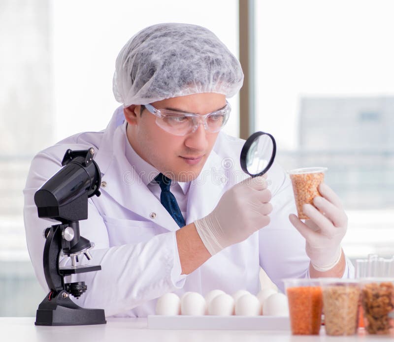 Nutrition Expert Testing Food Products In Lab Stock Image Image Of nutrition-expert-testing-food-products-in-lab-stock-image-image-of