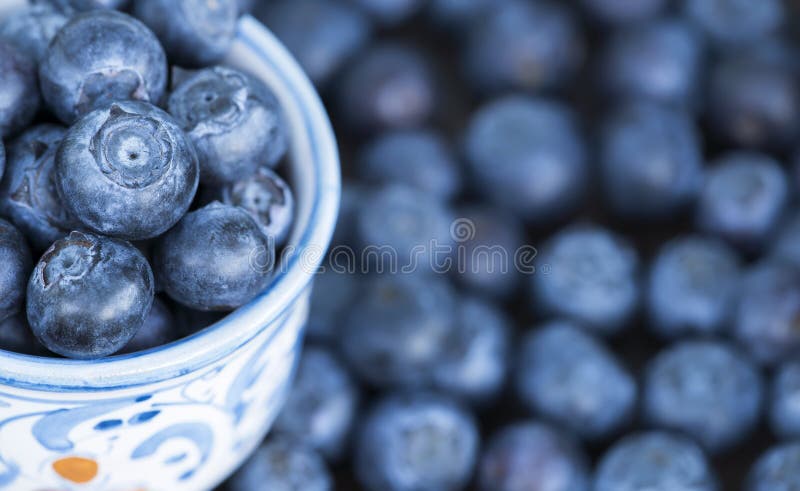 Nutritions, fruits de myrtilles, bannière de Web, concept sain de consommation, fond de nourriture photographie stock libre de droits Nutritions, fruits de myrtilles, bannière de Web, concept sain de consommation, fond de nourriture photographie stock libre de droits