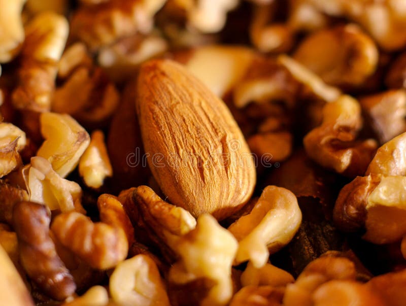 Nuts, Almonds and Walnuts, Lots of Nuts Stock Image Image of hazelnut, brown 91201363