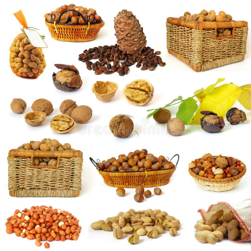 Nuts collection