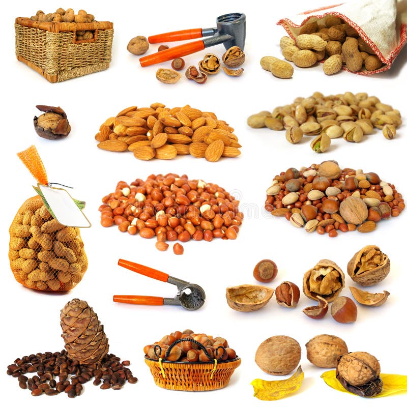 Nuts collection on white