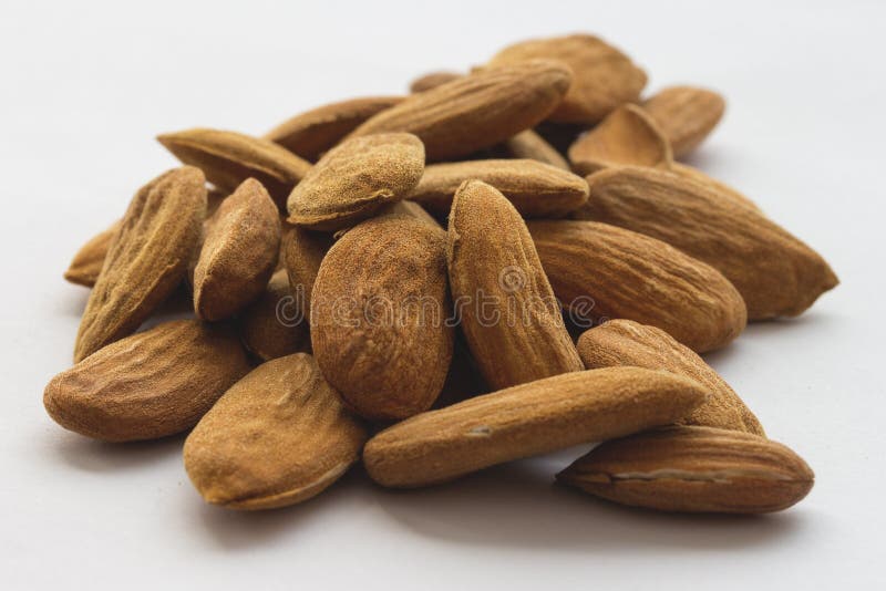 Nuts & Seeds, Nut, Superfood, Ingredient Picture. Image 113144885