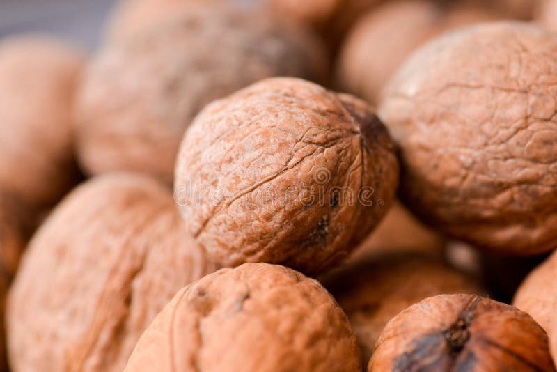 Nuts in the shell stock photo. Image of pieces, seasonal 83559640