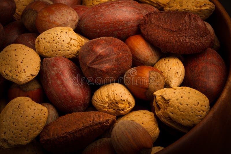 Nuts for you stock photo. Image of hazelnut, healthy 37651958