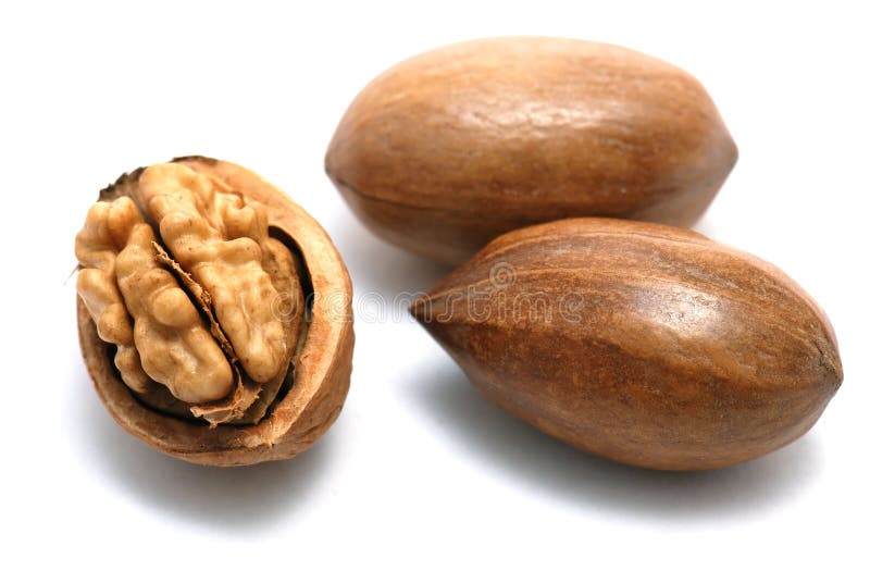 Pecan nuts and walnut in closeup on white background. Pecan nuts and walnut in closeup on white background