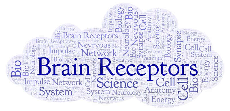 Brain words. Слово teenager на белом фоне для рекламы. Brain цщкл. Gaba receptors in Brain. Brain in adolescence period.