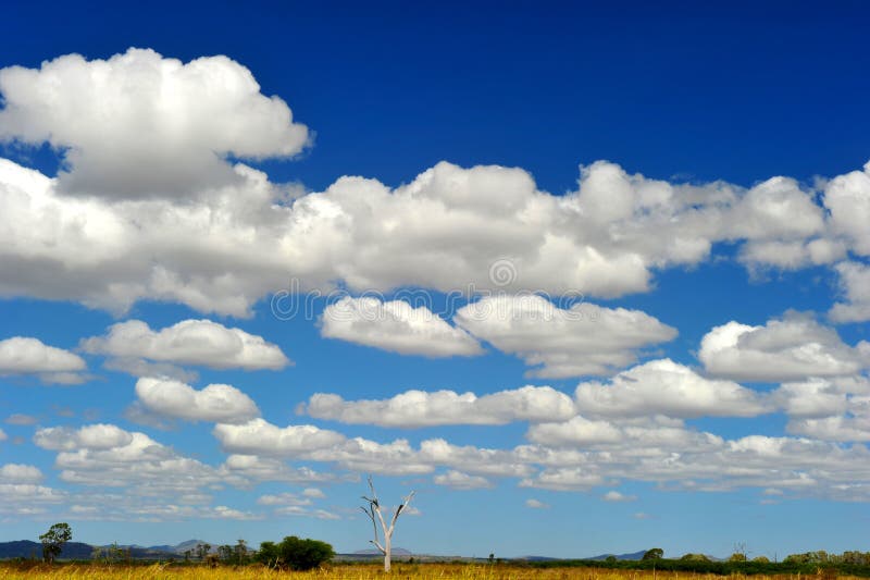 Nuvole bianche gonfie & cielo blu sopra entroterra australiana a distanza, no