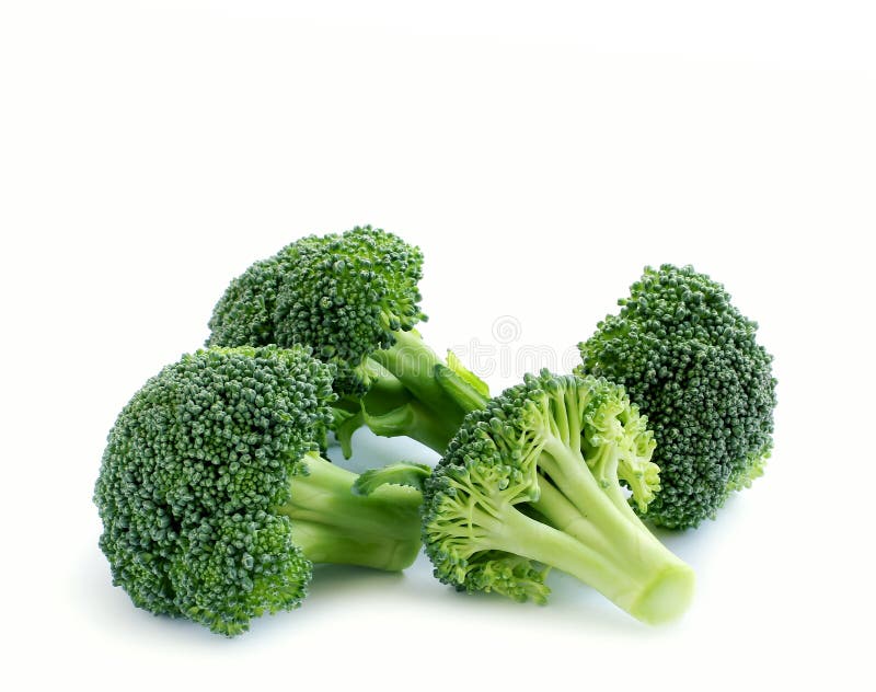 Ny broccoli arkivfoton Ny broccoli arkivfoton