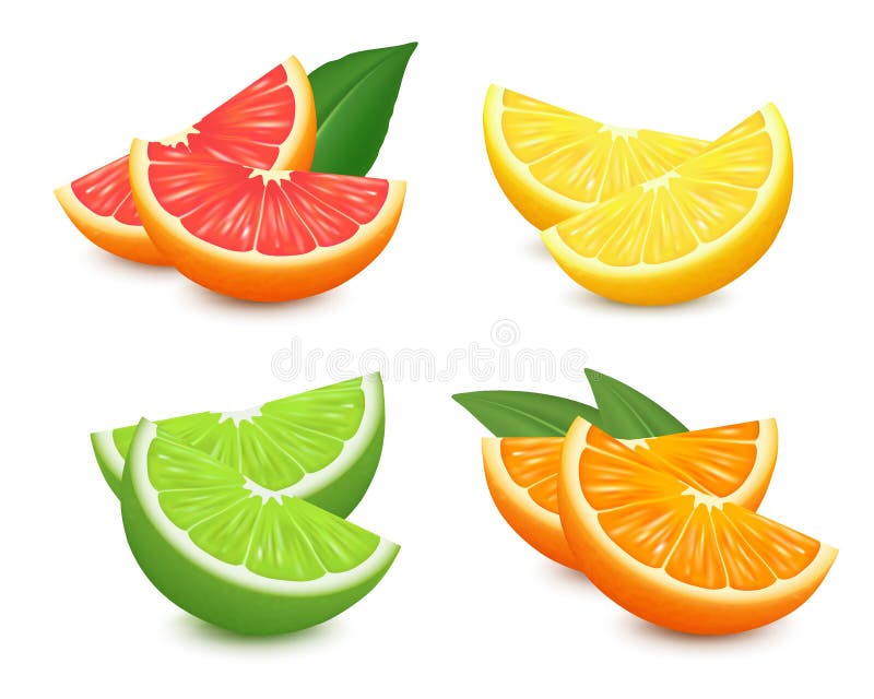 Ny citrusfruktuppsättning Orange illustration för vektor för grapefruktcitron limefrukt isolerad realistisk vektor 3D stock illustrationer