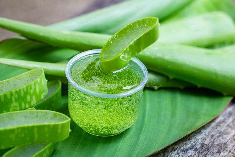 Ny grön aloe vera lämnar skivan, och aloe vera stelnar på trätabellen arkivbilder Ny grön aloe vera lämnar skivan, och aloe vera stelnar på trätabellen arkivbilder
