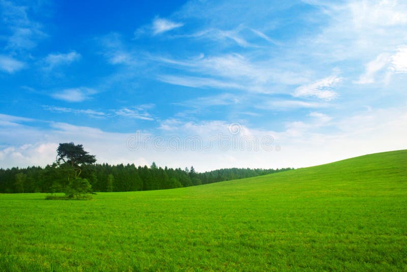 Fräscht sommarlandskap arkivfoton