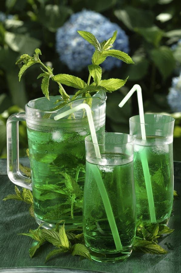 ny mint för drink arkivbilder ny mint för drink arkivbilder