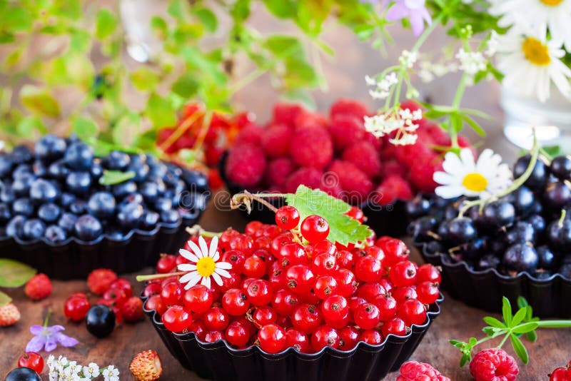 Ny mogen bakgrund för sommarberriesбsommar royaltyfri bild