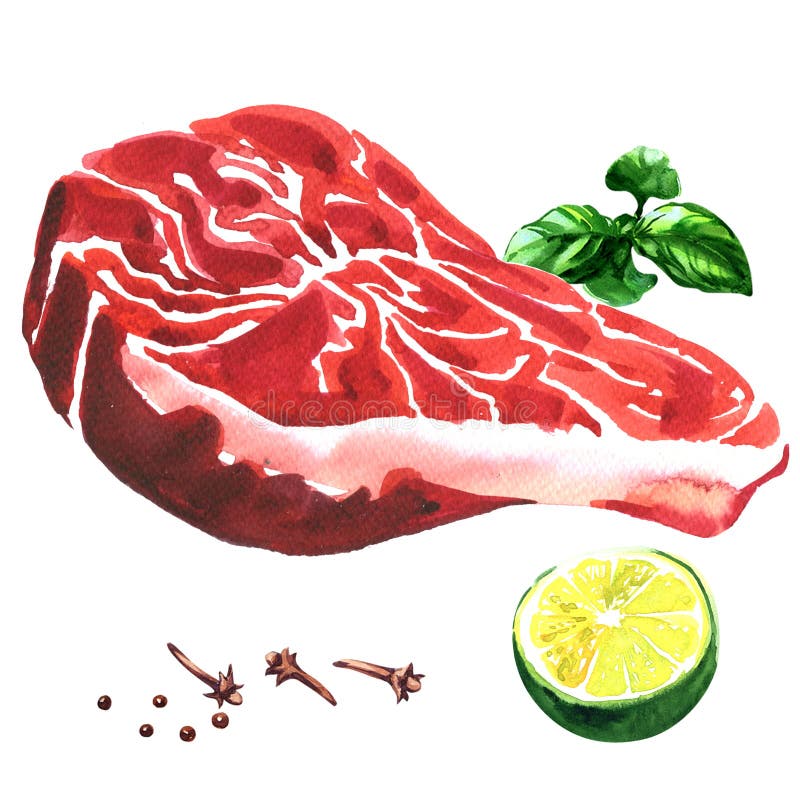 Ny nötköttbiff, rått marmorerat nötkött med limefrukt, basilika, kryddor, matbegrepp som isoleras, utdragen vattenfärgillustratio vektor illustrationer