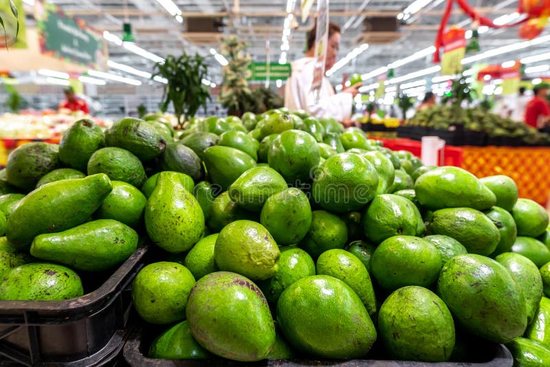 Ny organisk exotisk grön avokado på en lokal matmarknad, Bali ö Ny grön avokado på en marknadsstail arkivbilder Ny organisk exotisk grön avokado på en lokal matmarknad, Bali ö Ny grön avokado på en marknadsstail arkivbilder